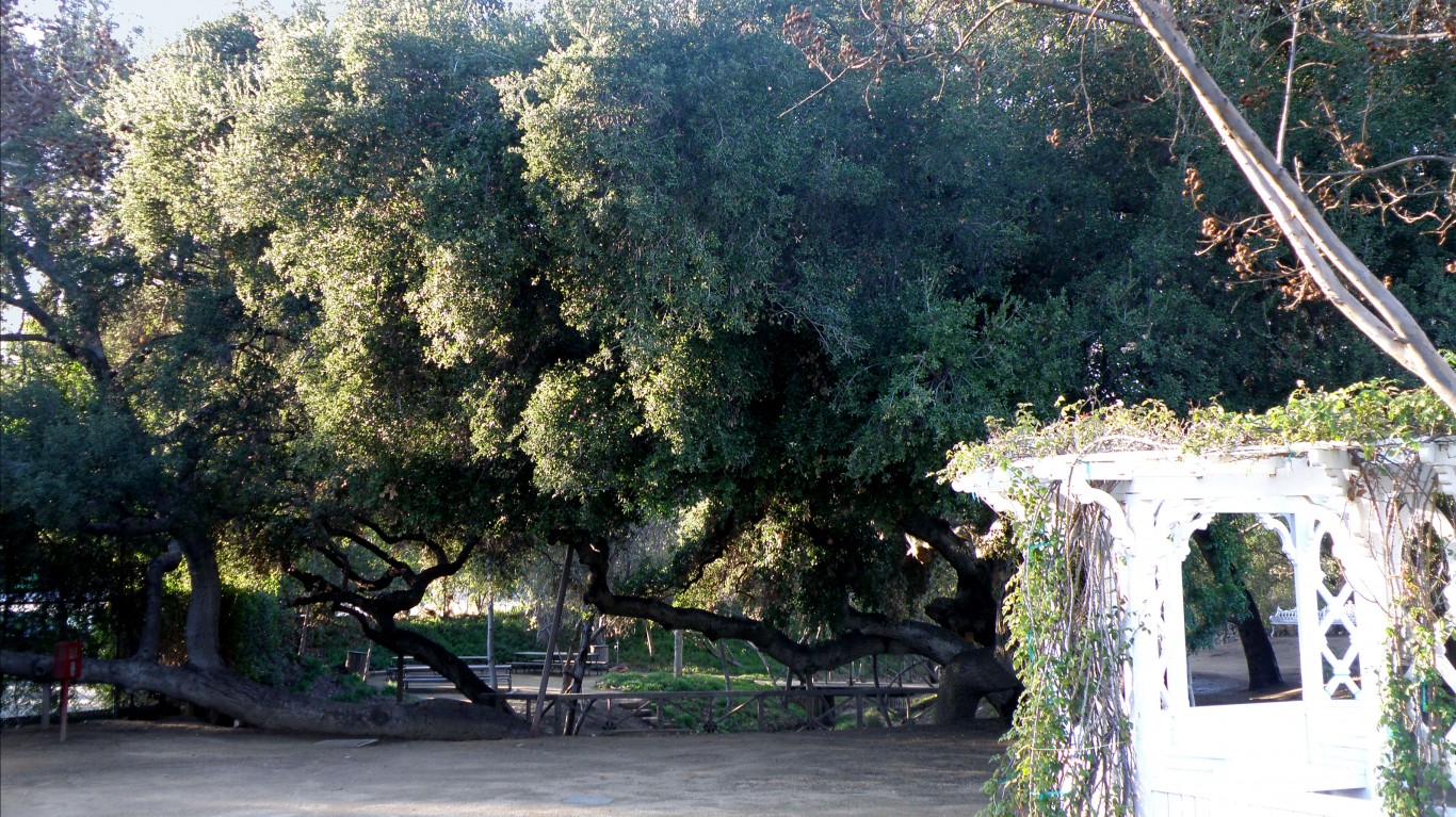 Calabasas Creek Park by Laurie Avocado