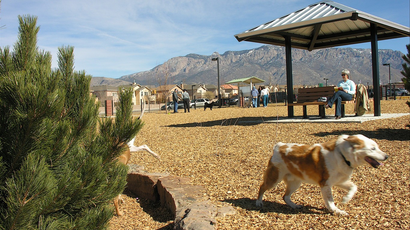 North Domingo Baca Dog Park, A... by Jon Hurd