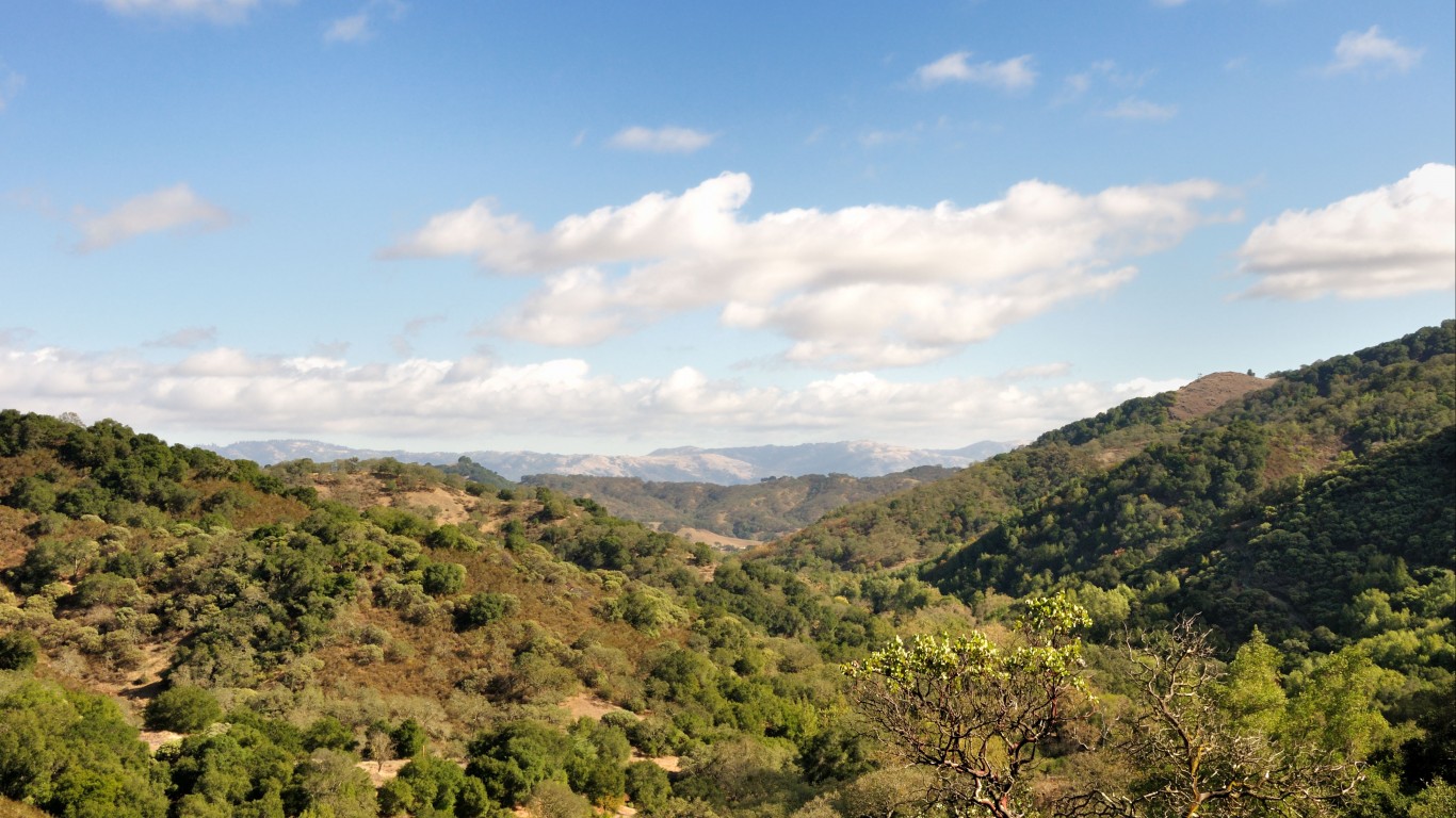 View from the Mayfair Ranch Tr... by Don DeBold