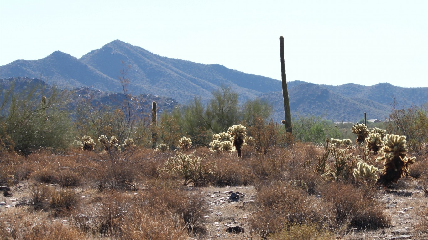 McDowell Sonoran Preserve from... by Dru Bloomfield