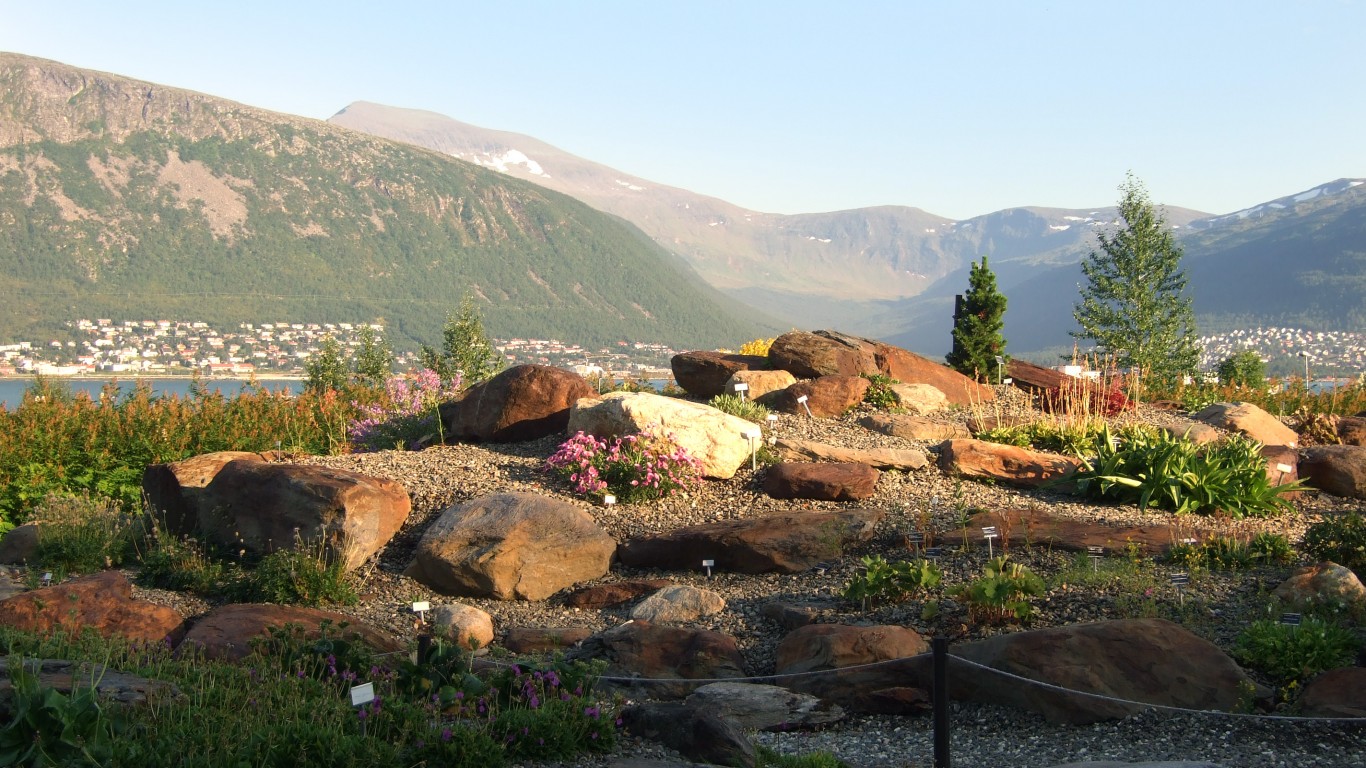 Arctic-alpine botanic garden by Harald Groven