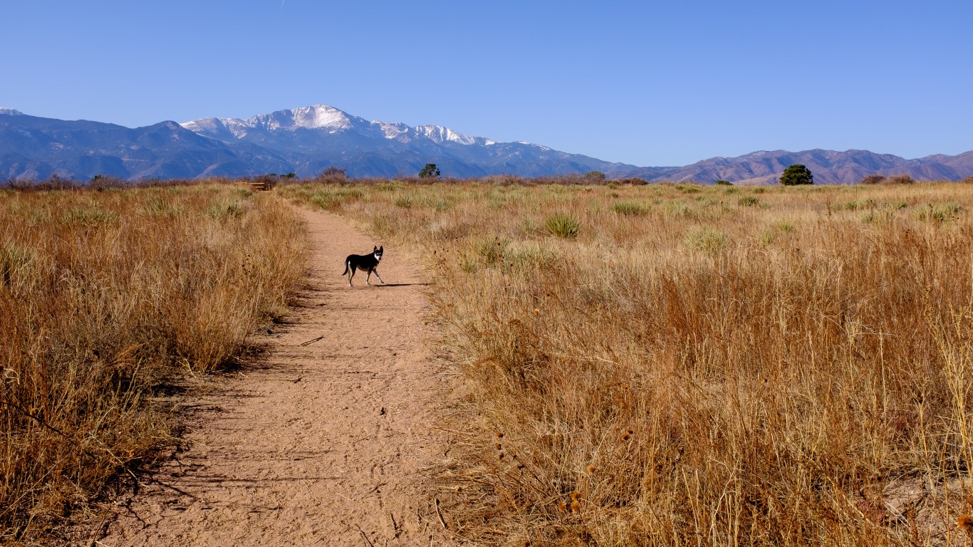 leading the way by brando