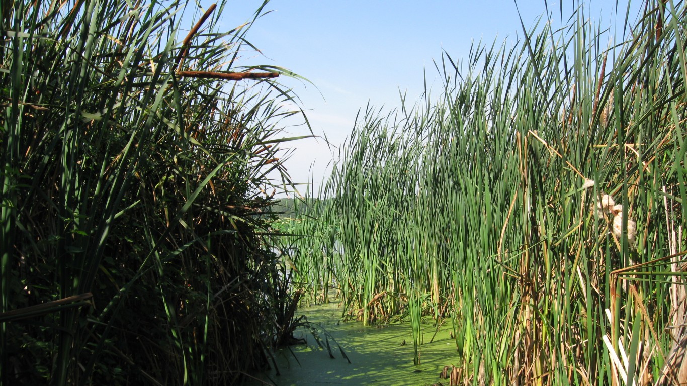 Cherokee Marsh by benet2006