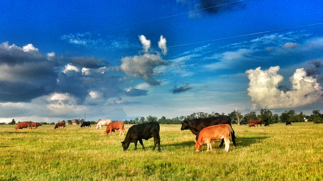 Blue Sky Pasture by GA-Kayaker