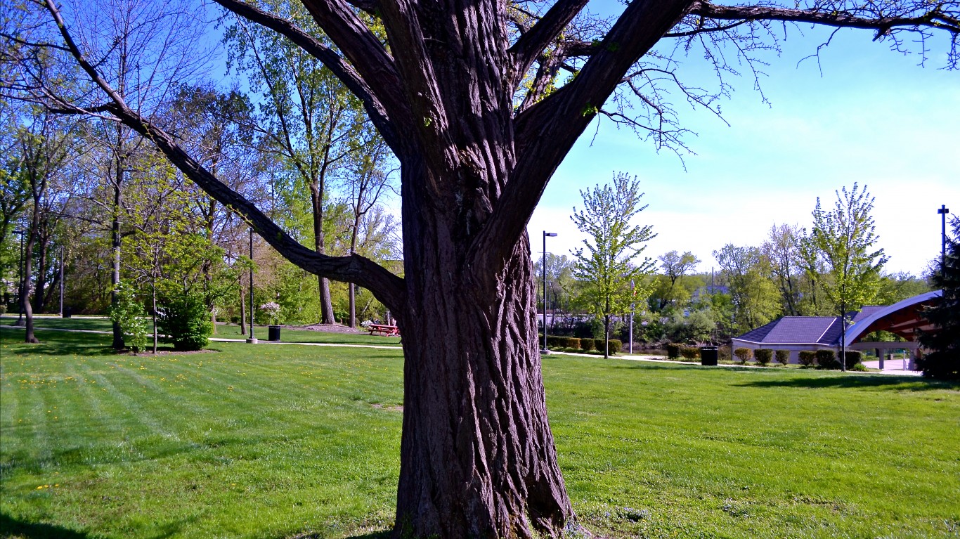 Tree 1 by George Bannister