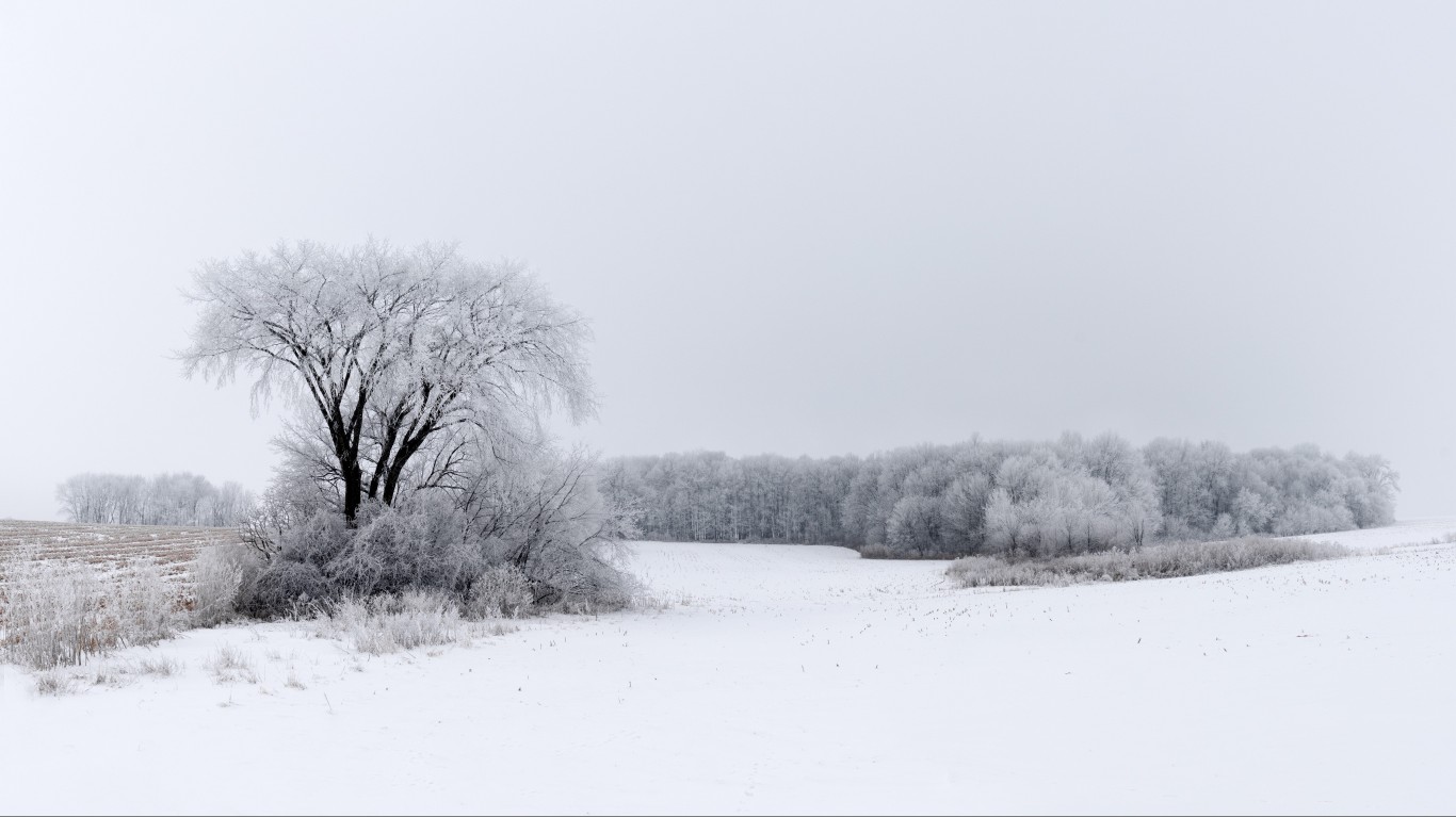 Rime ice and fog in Pierce Cou... by Lorie Shaull