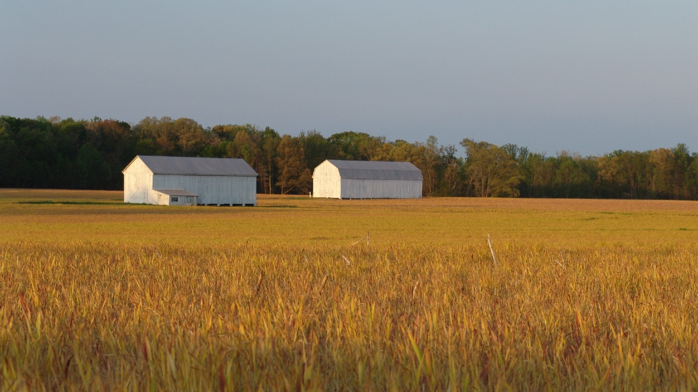 Charles County Farm by Jayshultis