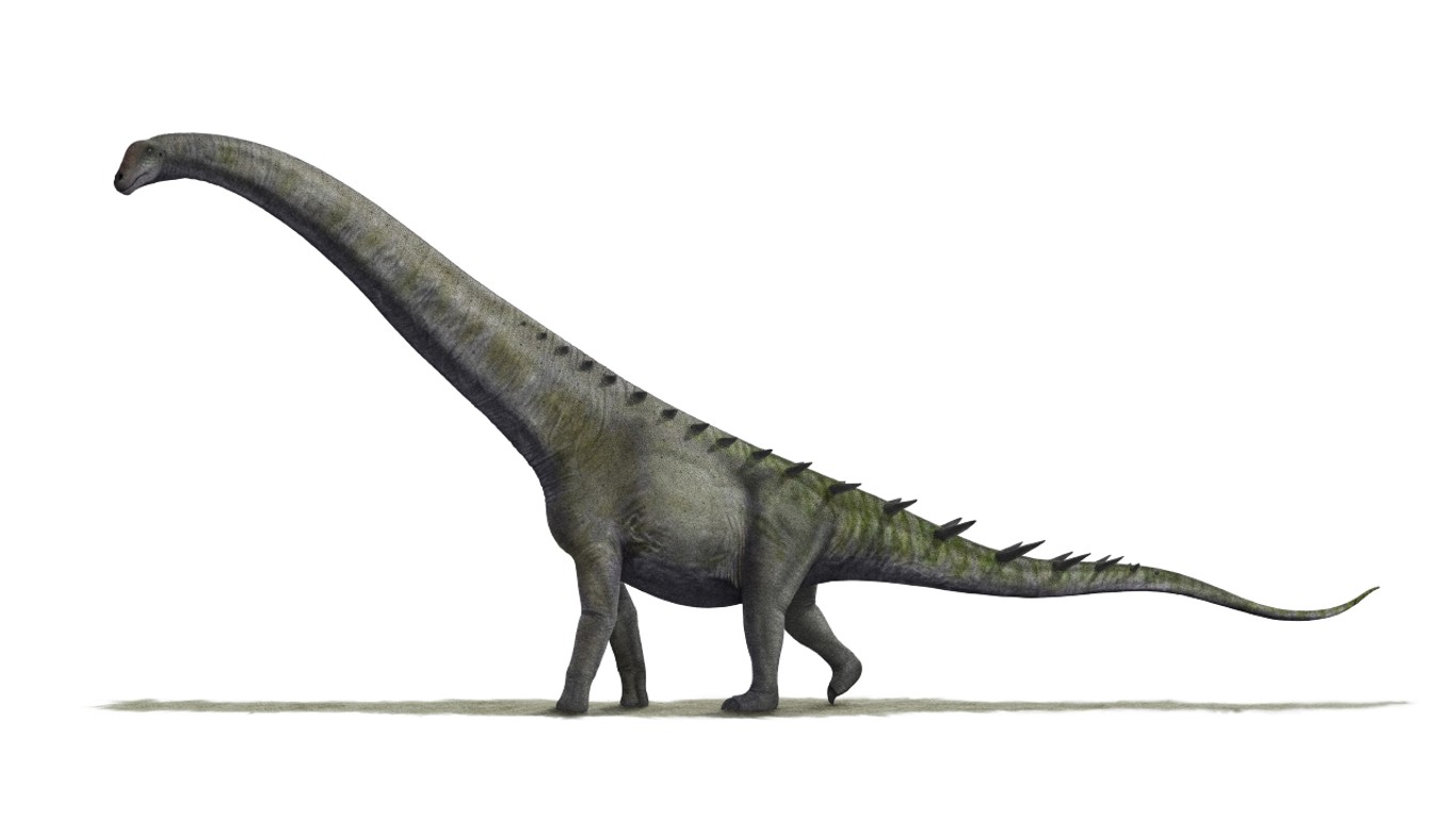 Futalognkosaurus BW by N. Tamura