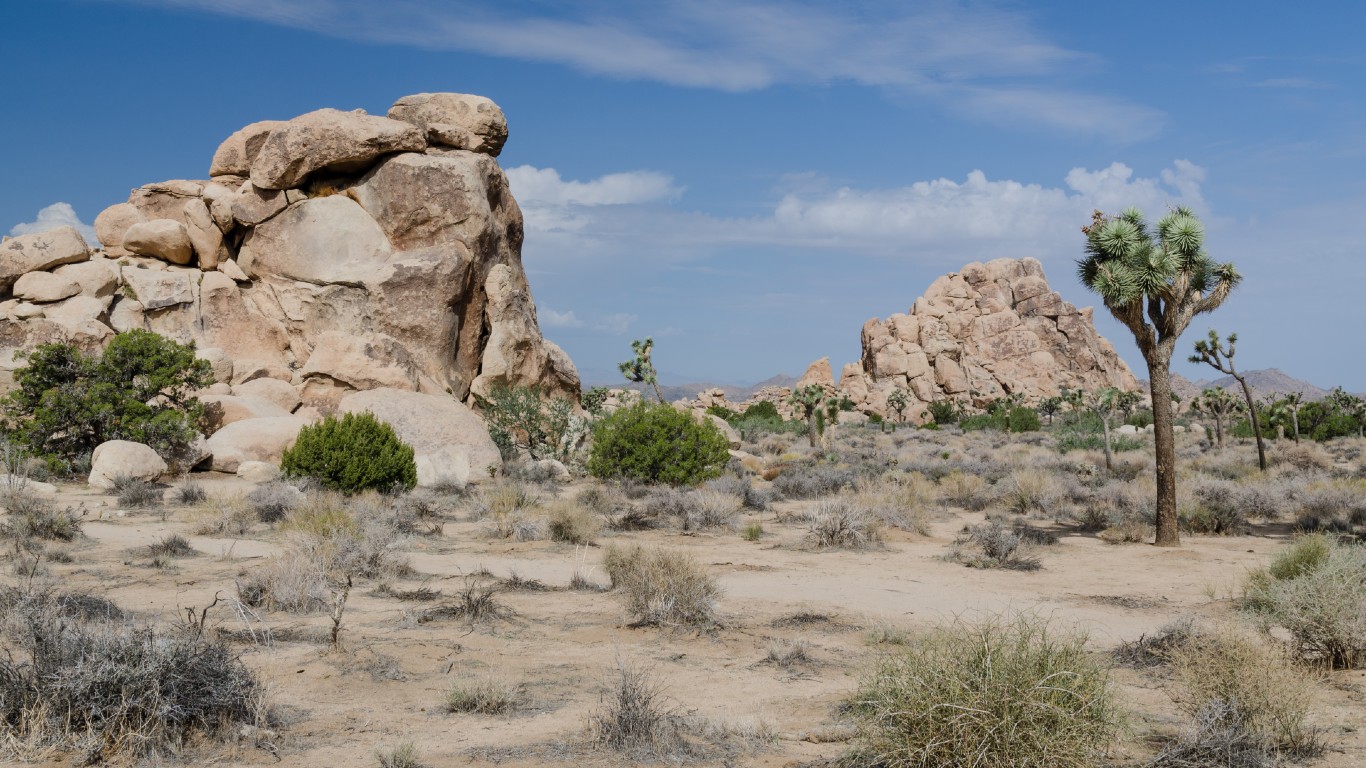 Joshua Tree National Park 2013 by Tuxyso