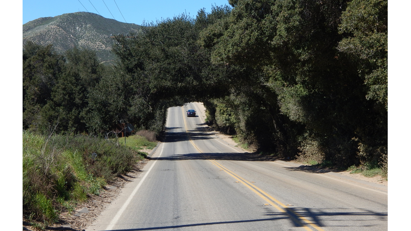 Wildomar tree tunnel 2 by Seauton