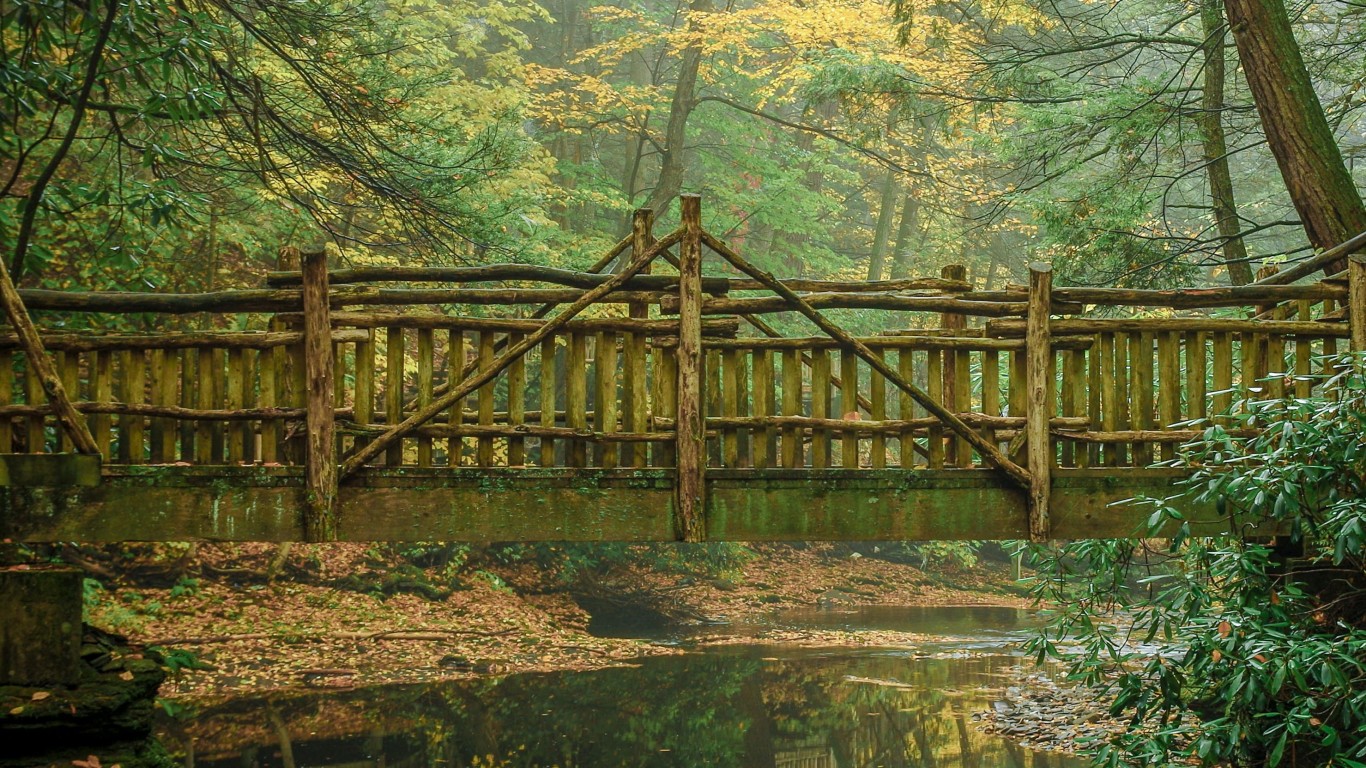 Foggy Bridge by Thomas