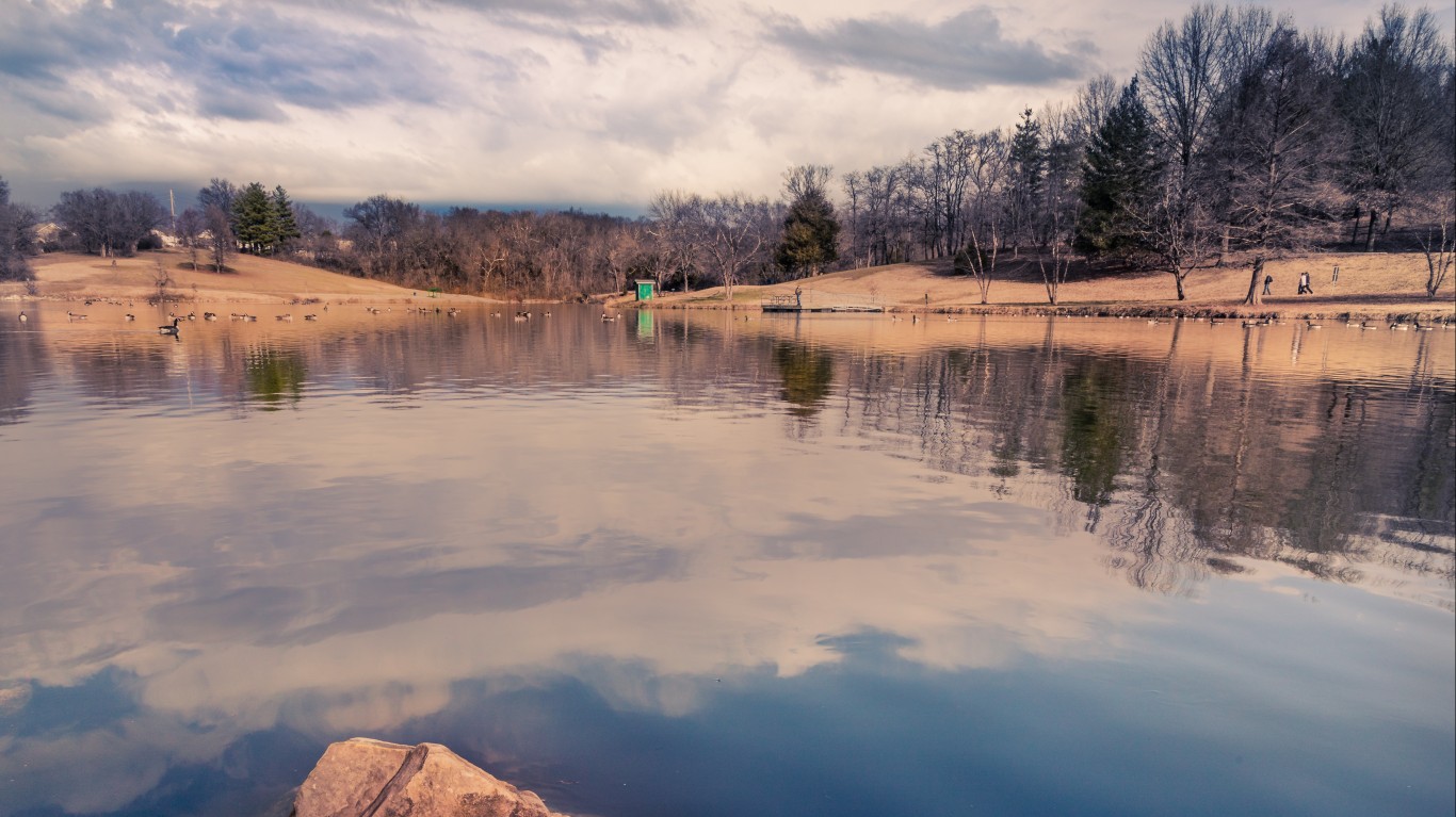 bee tree lake by Christian Collins