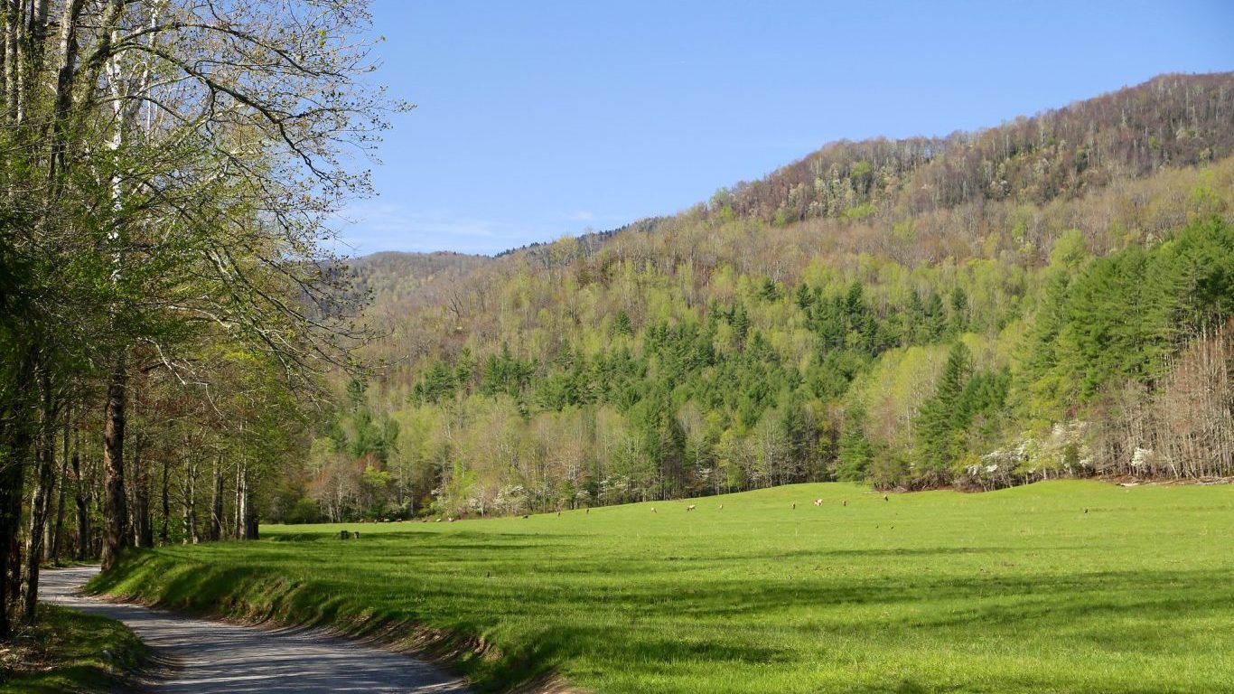 Springtime in the Cataloochee Section of the Great Smoky Mountains National Park, North Carolina by JR P