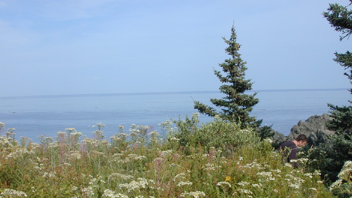 Cutler Coastal Reserve, Maine Coast by Jay Woodworth