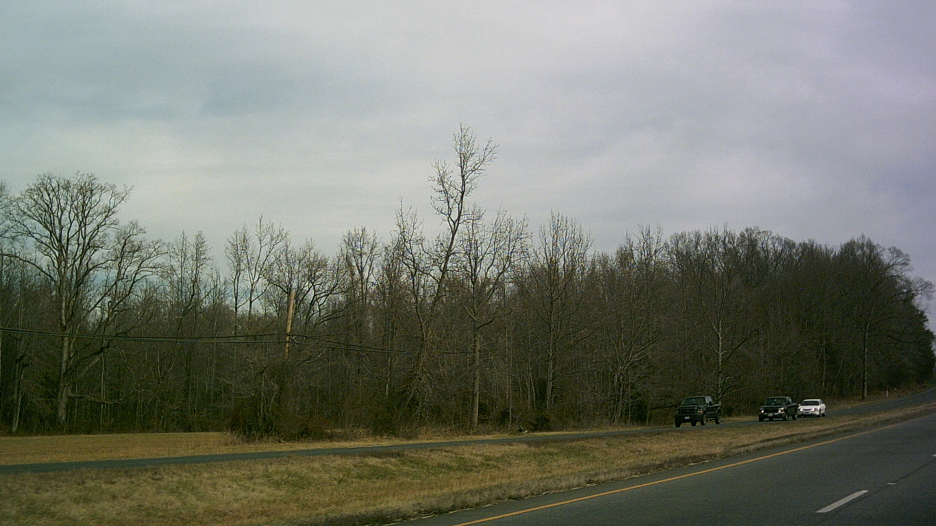 King George County landscape by Ser Amantio di Nicolao