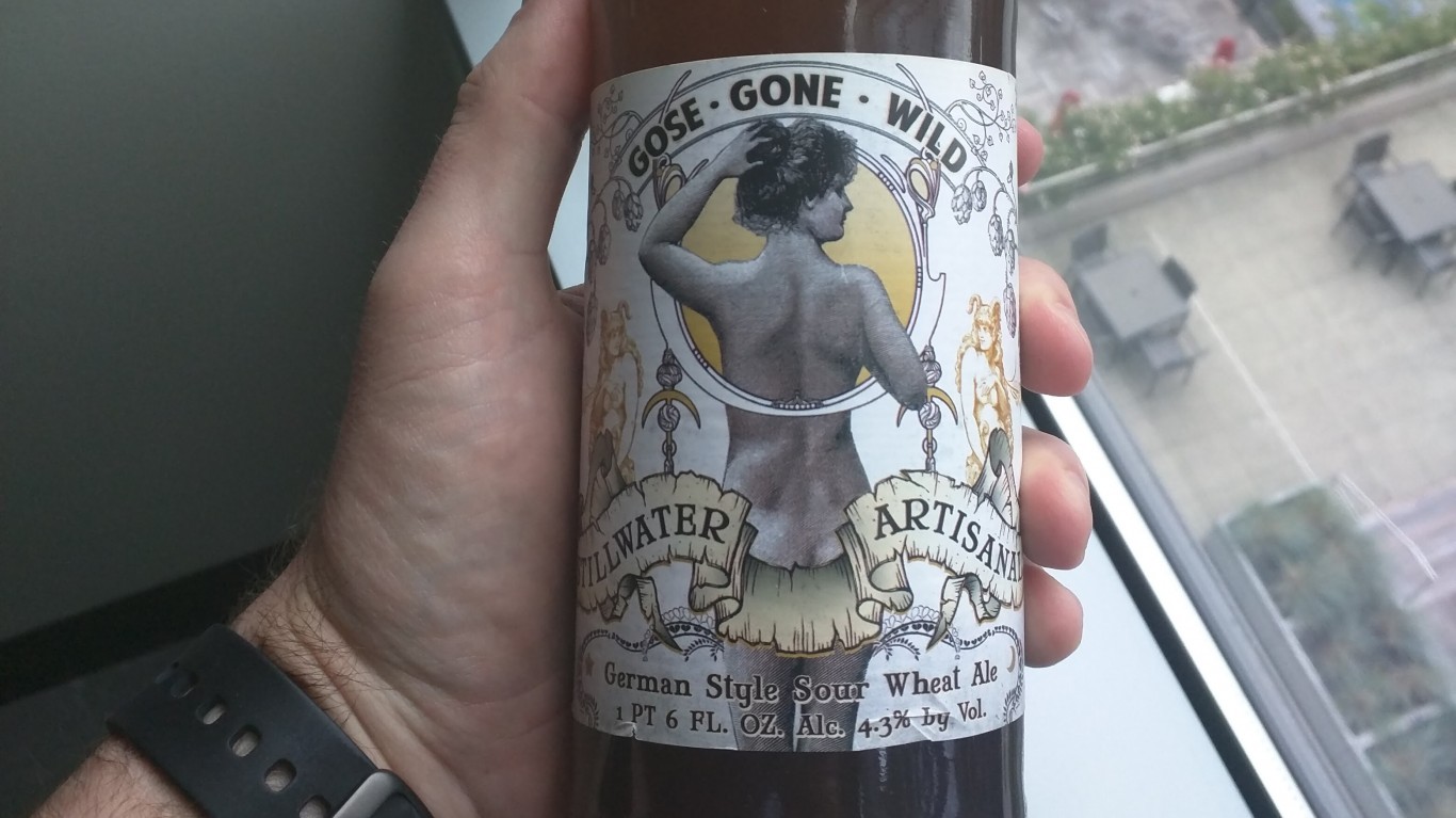 Stillwater - Gose Gone Wild by Sam Cavenagh