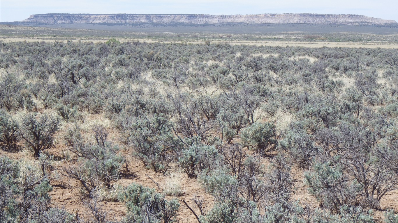 Sagebrush steppe, Sandoval Cou... by Matt Lavin