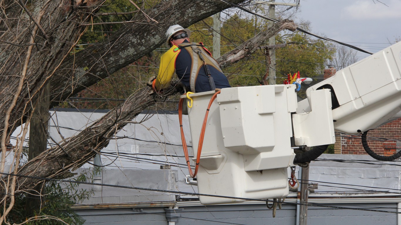 Tree Pruning in RVA (Carytown,... by Eli Christman