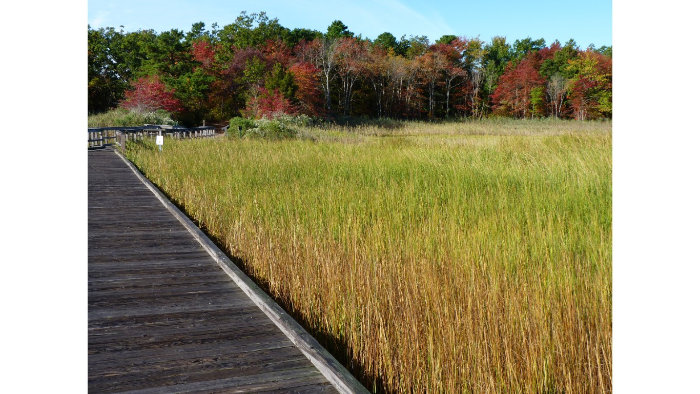 Boardwalk trail and Crabbing Bridge by JDBeetham