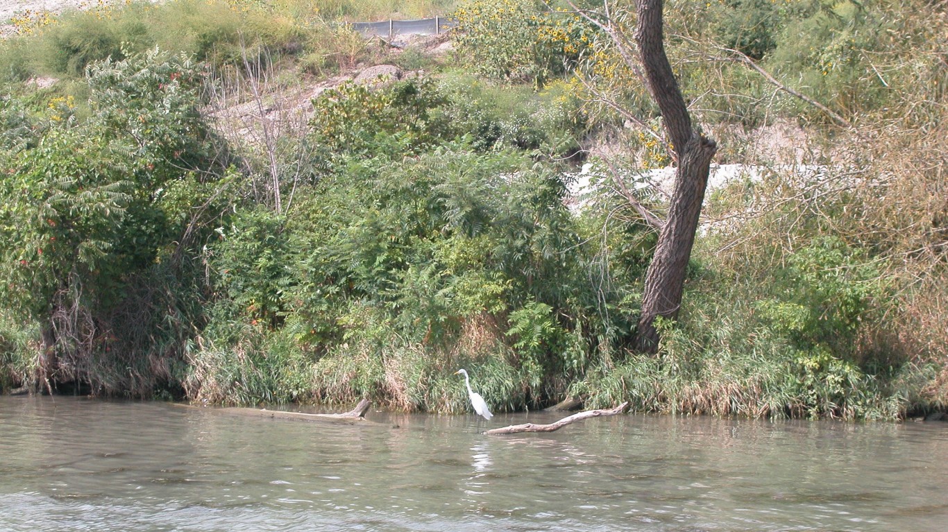 20060917 73 Calumet River, Dol... by David Wilson