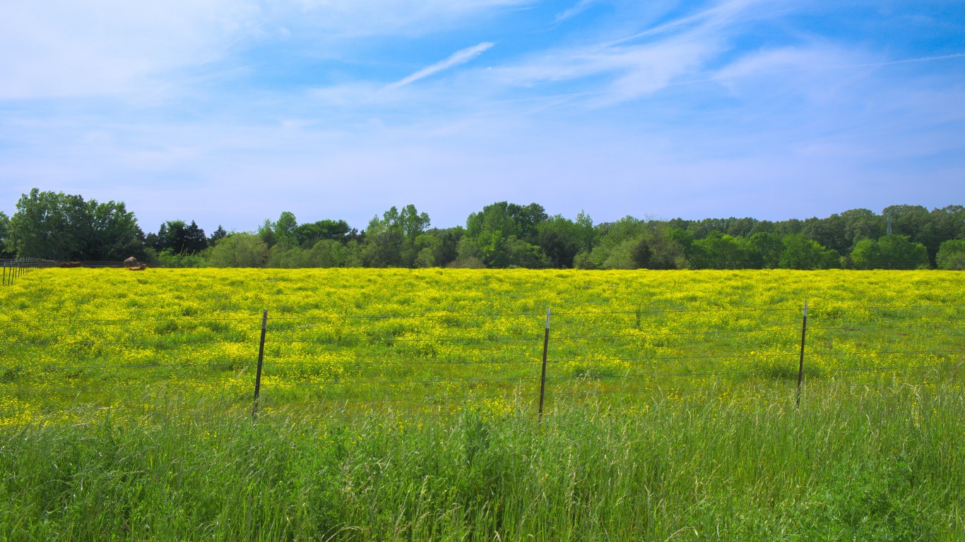 Fields of clover by John Perry