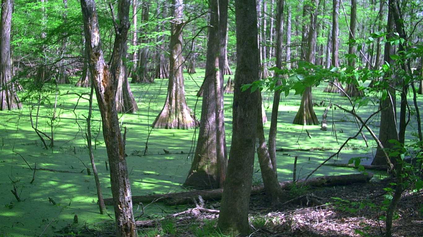 Chicot State Park Ville Platt... by Richard Byrd