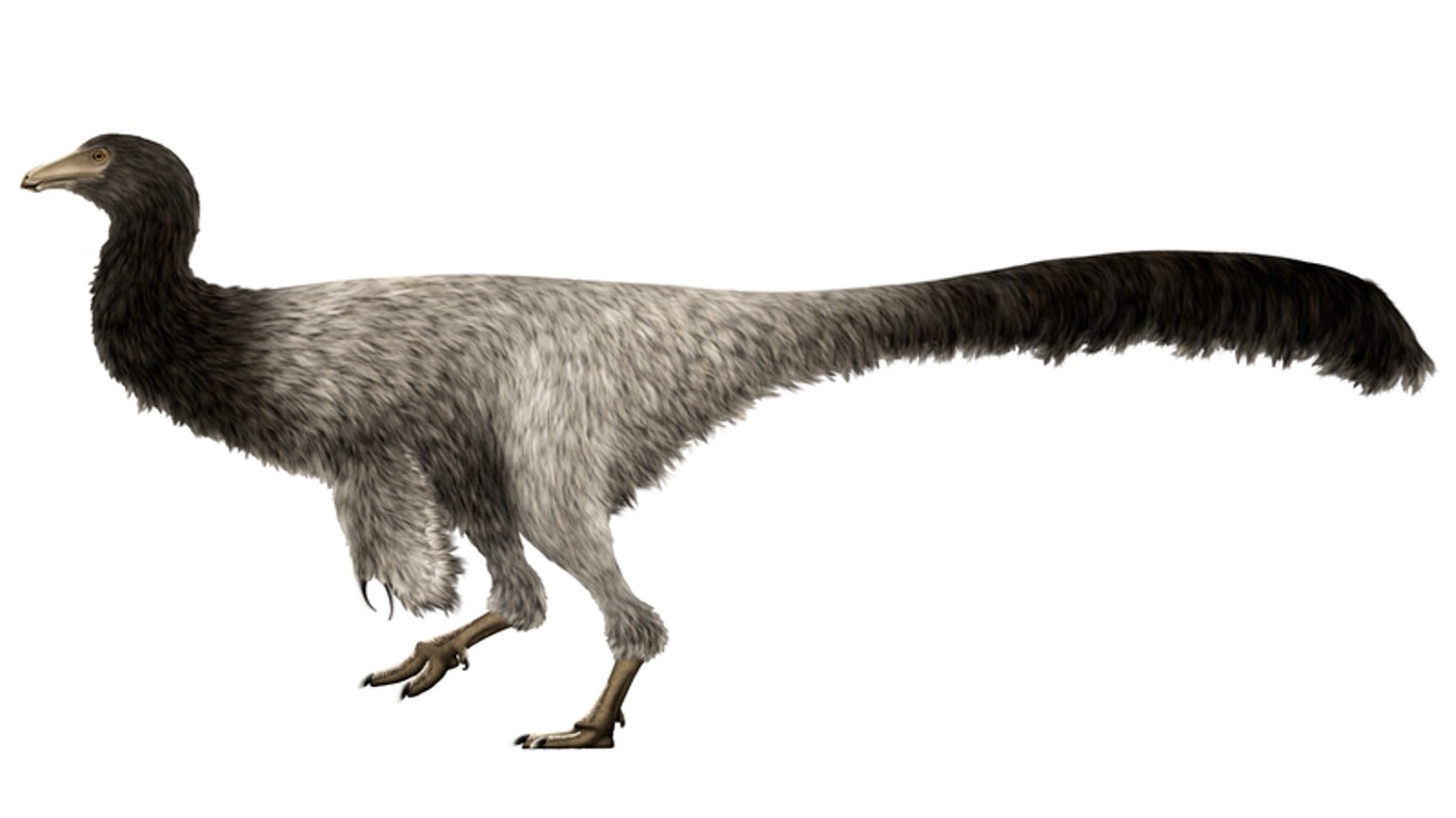 Garudimimus Restoration by PaleoNeolitic