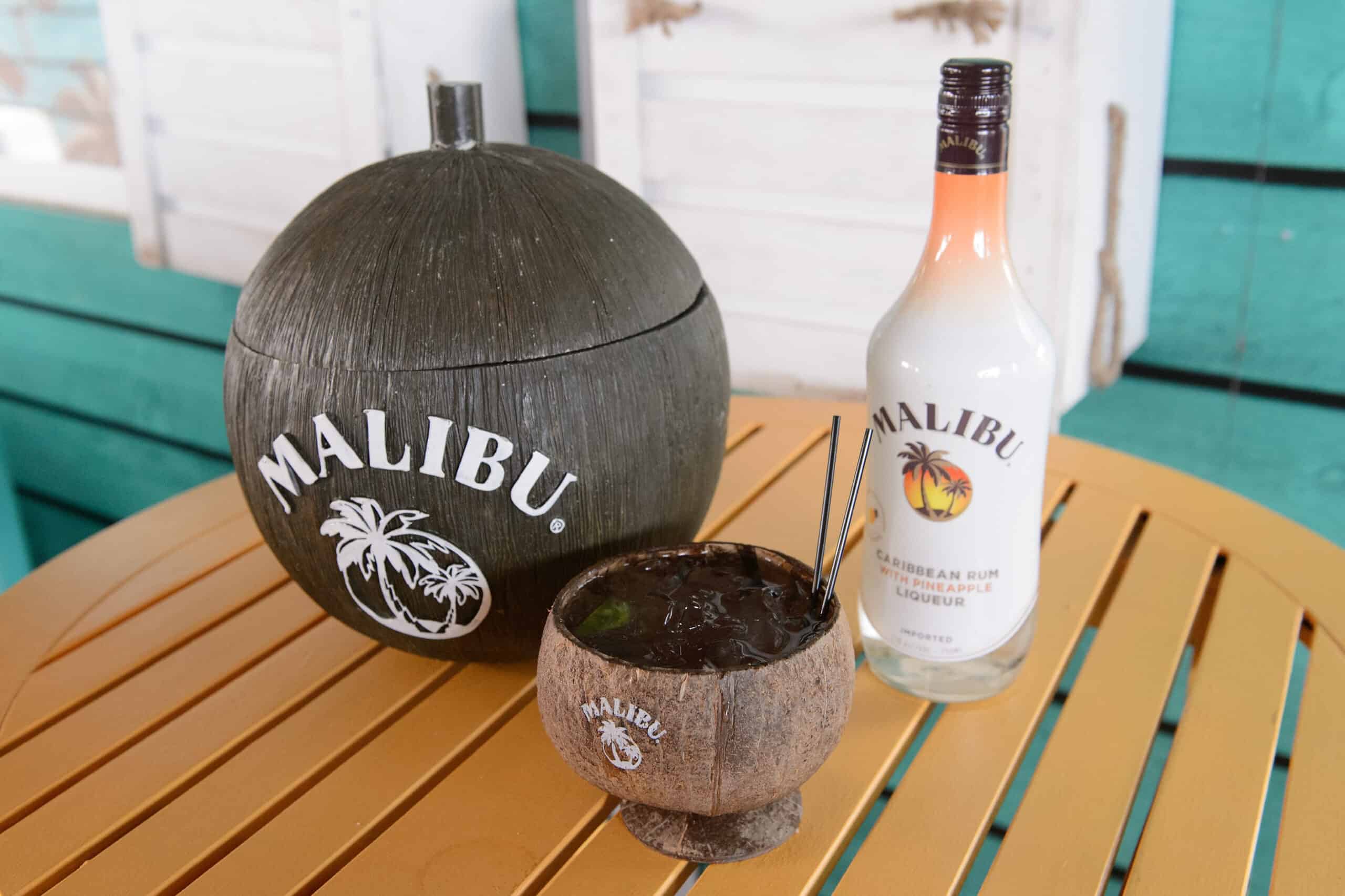 Malibu Rum Celebrates Summer With Jana Kramer&#039;s Surprise Performance