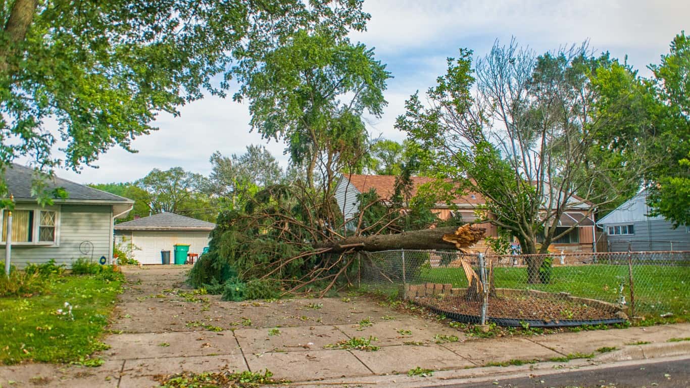 Illinois+Derecho+wind+storm | Pine Tree Snapped