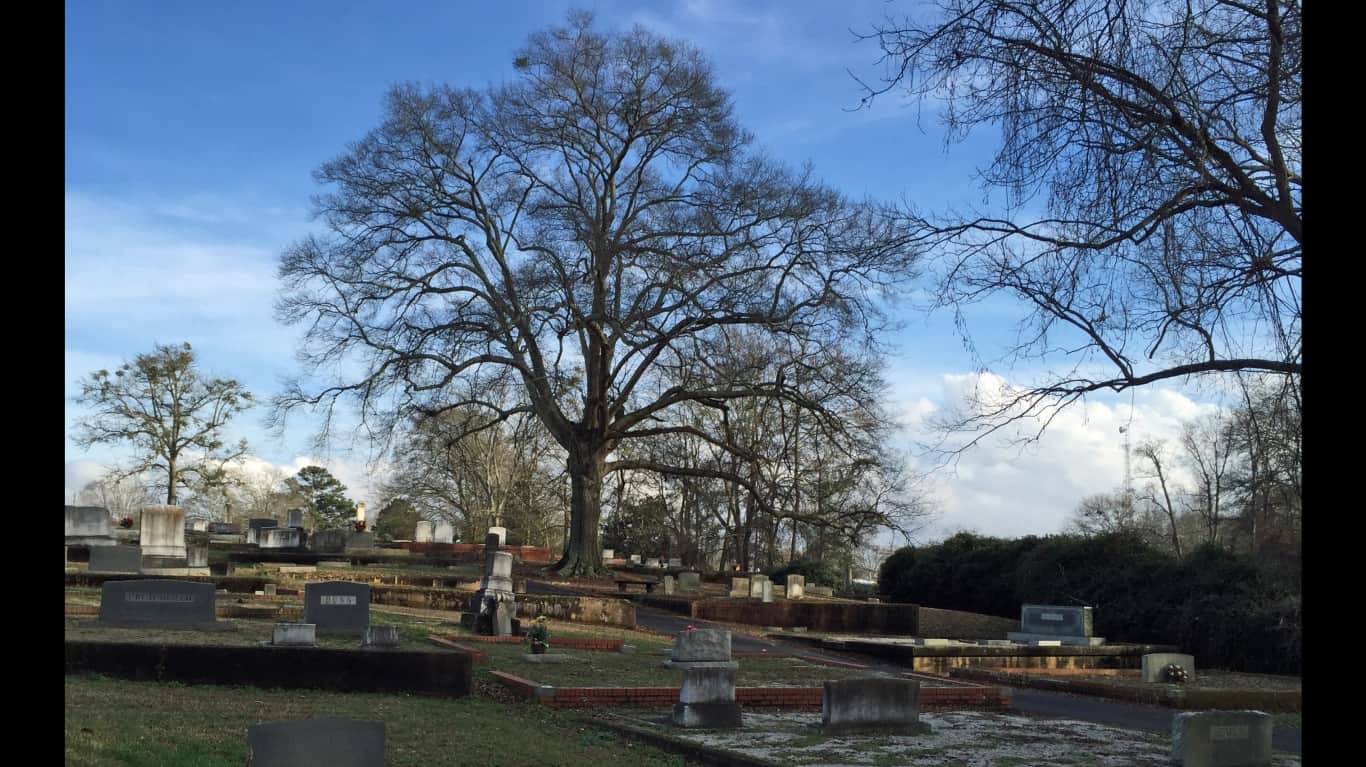 Carrollton City Cemetery by NatalieMaynor