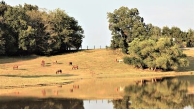 America’s Poorest Counties