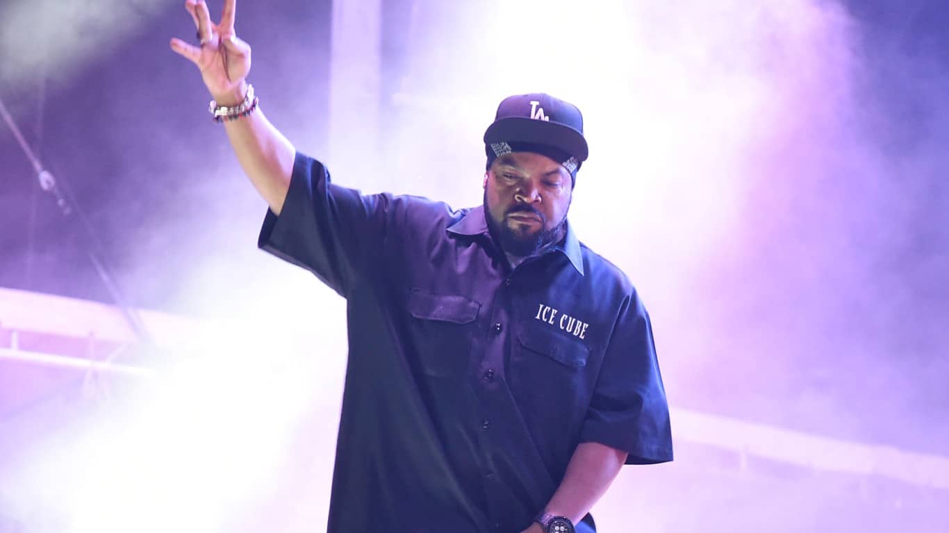 Ice Cube 2014 | 2014 Bonnaroo Music &amp; Arts Festival - Day 2