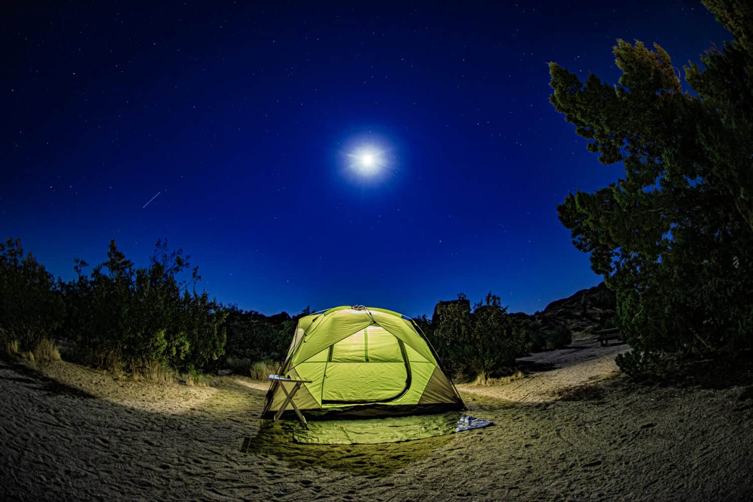 Camping JOSHUA TREE Coleman Tent