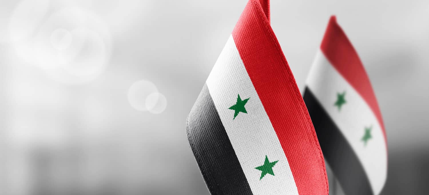 Small national flags of the Syria on a light blurry background