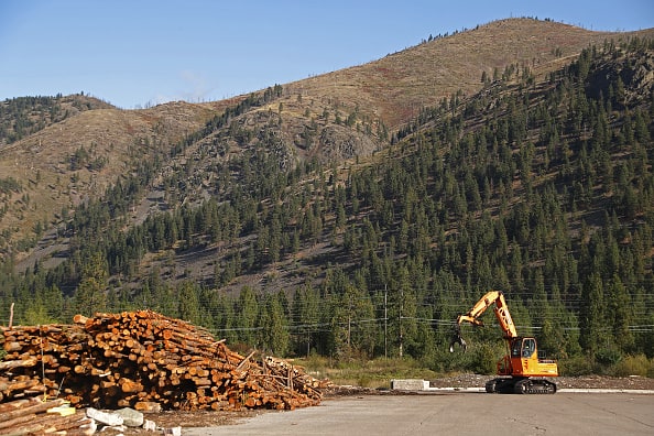 Montana Forests Struggle With Climate Change