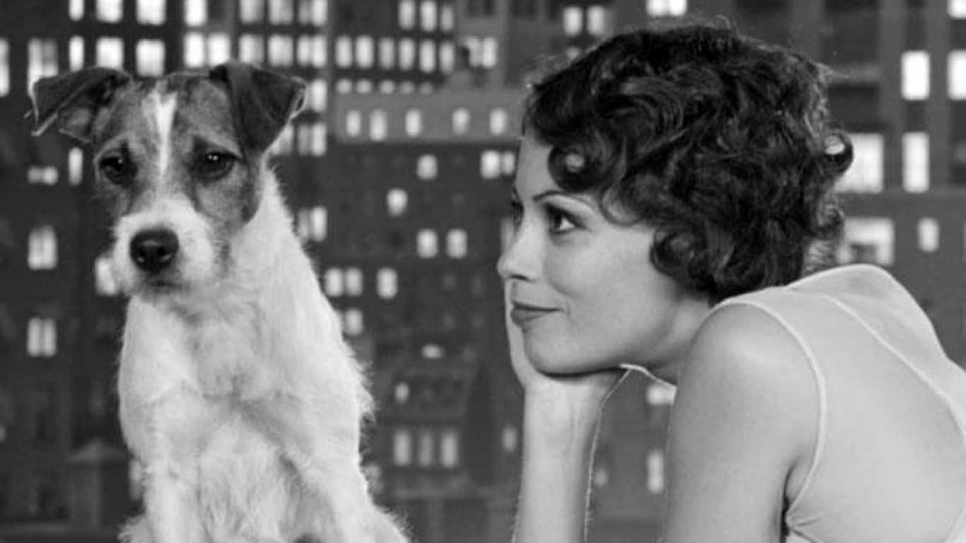 The Most Famous Canines of All Time