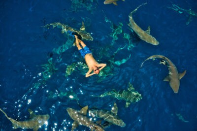 Blood In The Water: These Tourism Hot Spots Have Surprising Amounts Of Political Violence