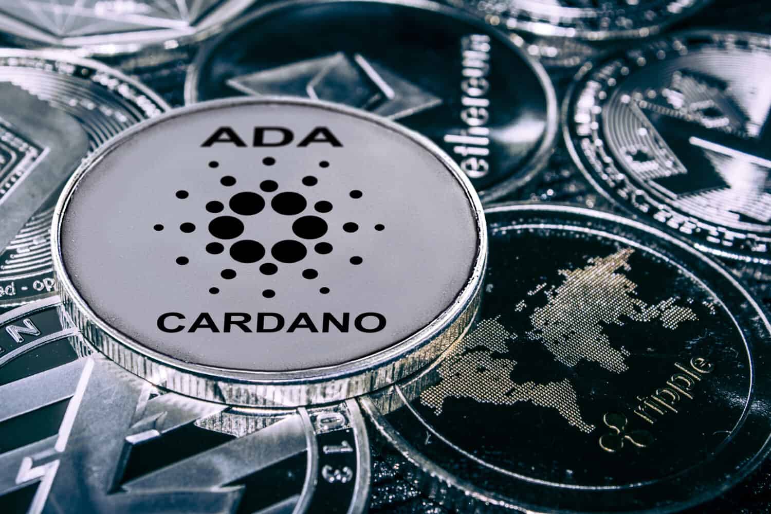 coin cryptocurrency carado ada against the main alitcoins the Ethereum, dash, monero, litecoin