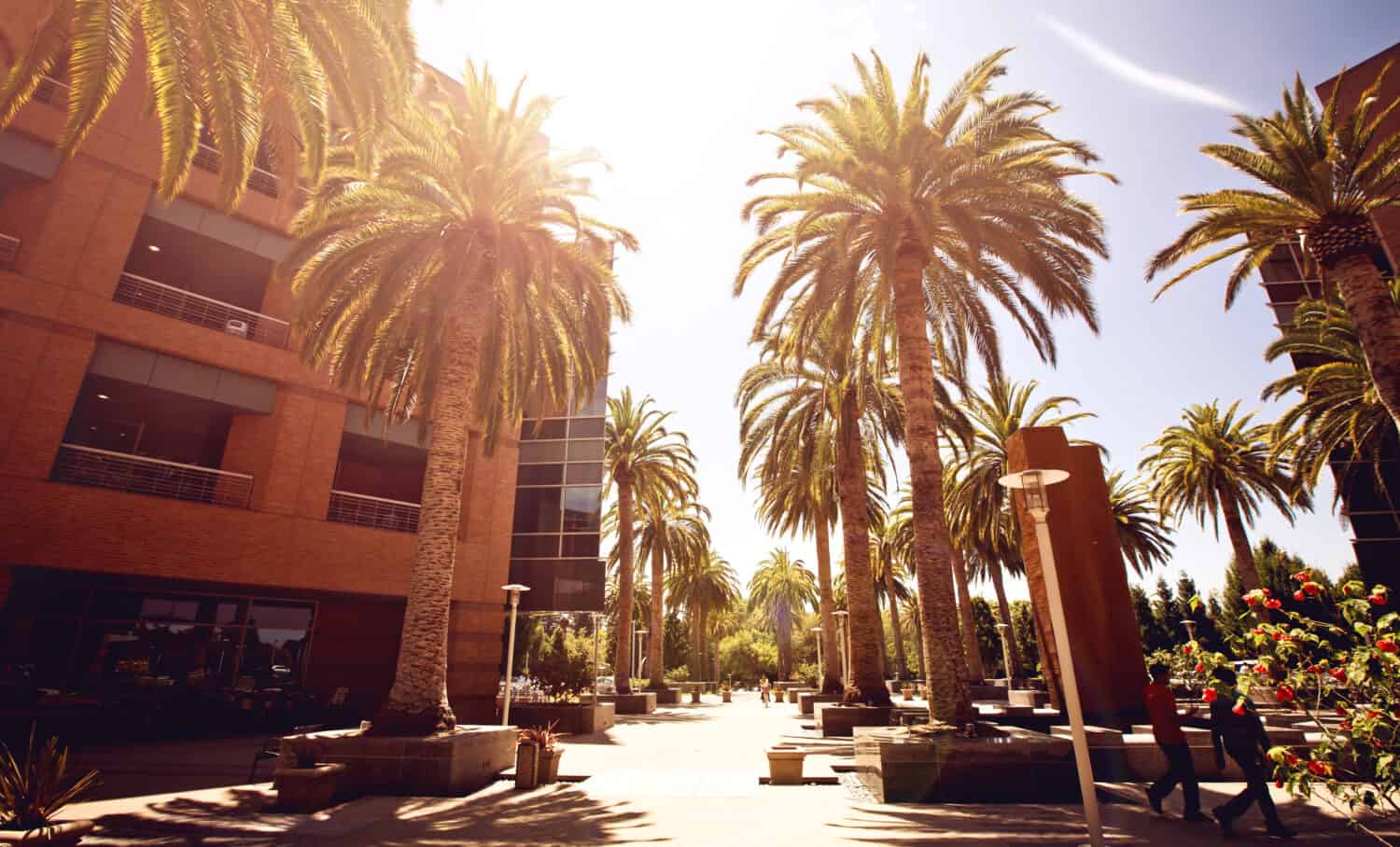 Silicon Valley streetview