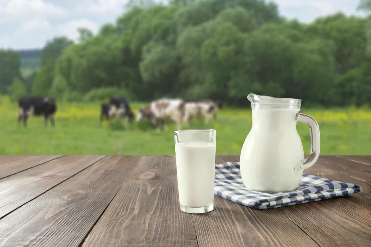 Fresh milk in glass on dark wooden tabletop and blurred landscape with cow on meadow. Healthy eating. Rustic style. Space for design.