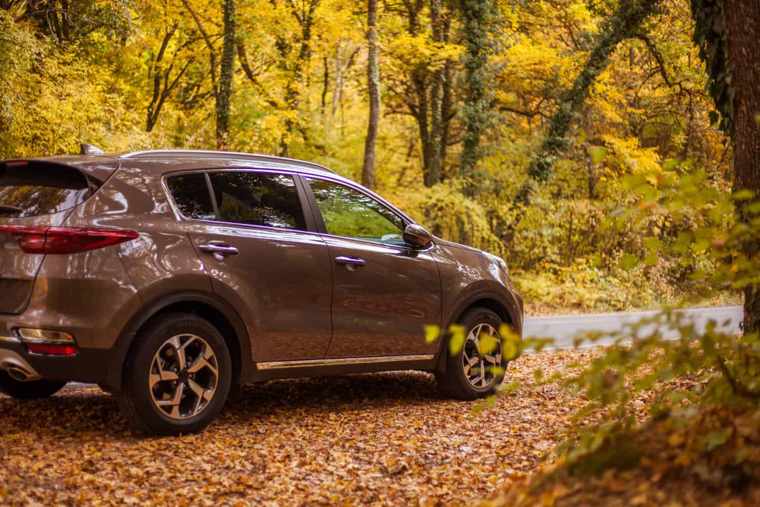 Beautiful brown car on the autumn road.