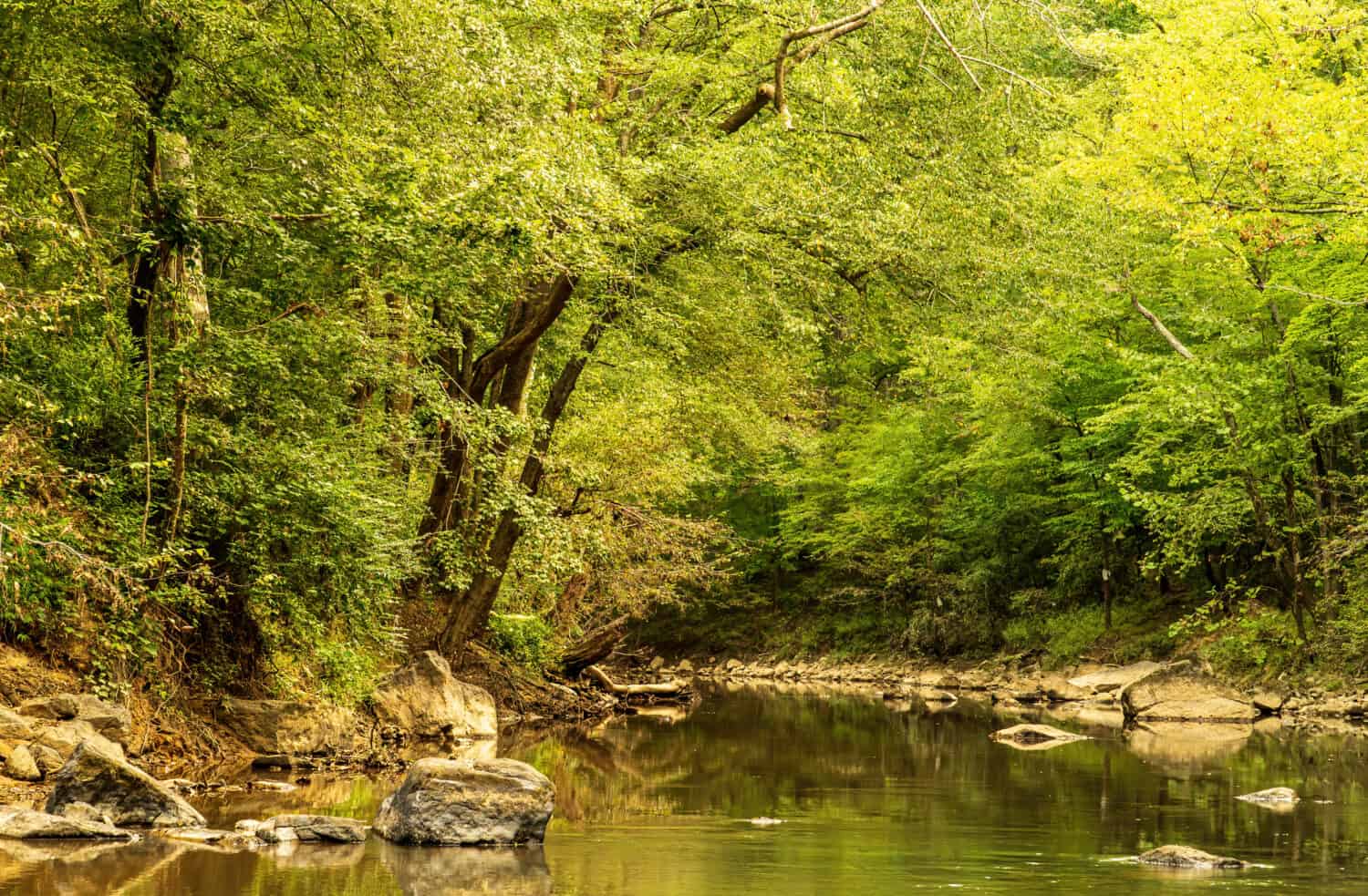 Durham, North Carolina/USA-9/16/2020: The Eno River at Penny&#039;s Bend on a Summer Morning.