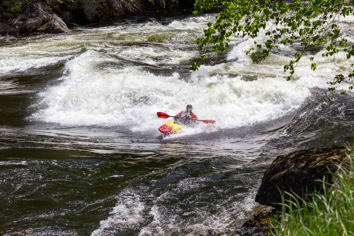 Whitewater kayaking on the Lochsa River, Idaho