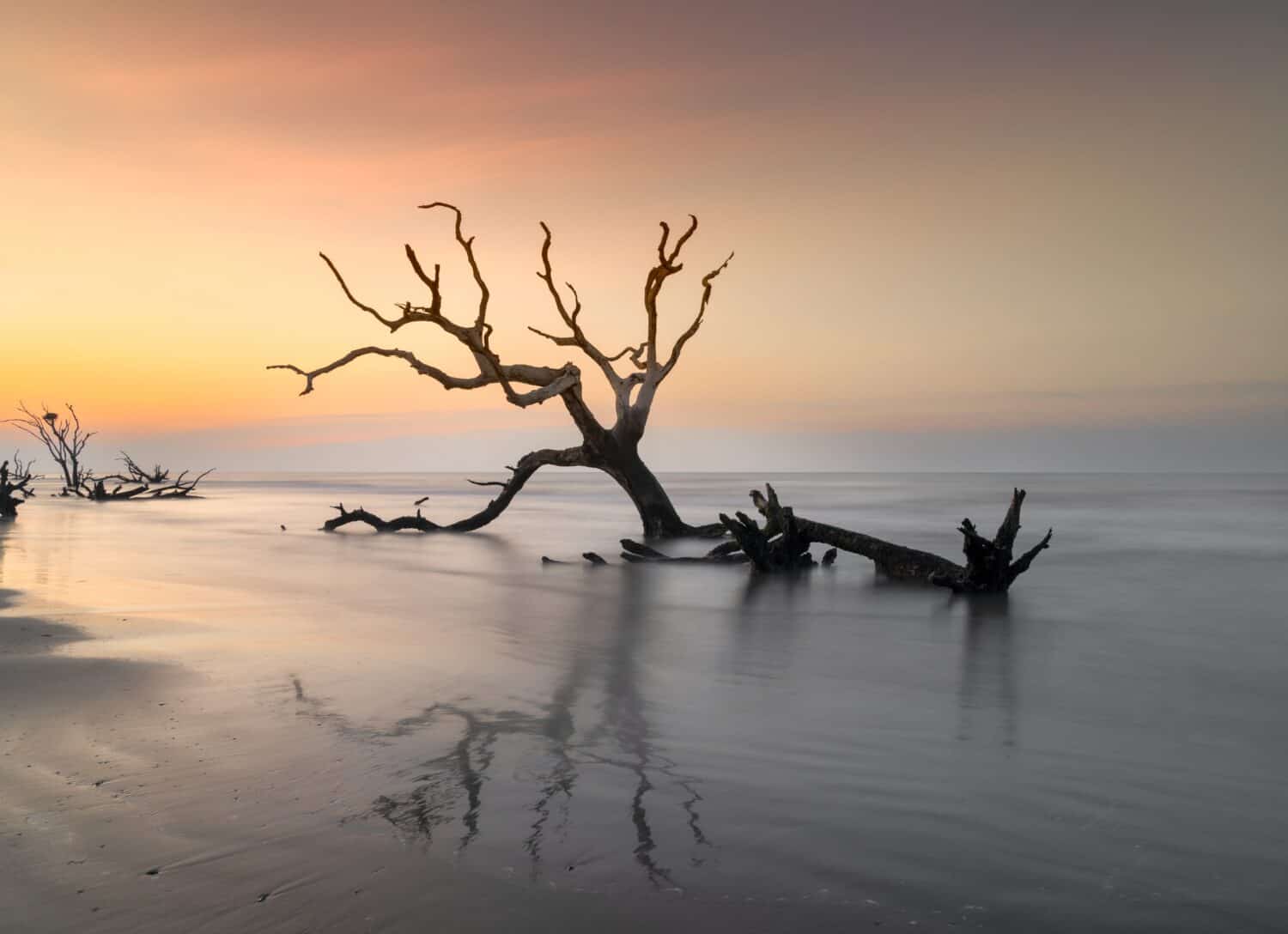 meditative seascape at Boneyard Beach on Bull Island in South Carolina at sunrise