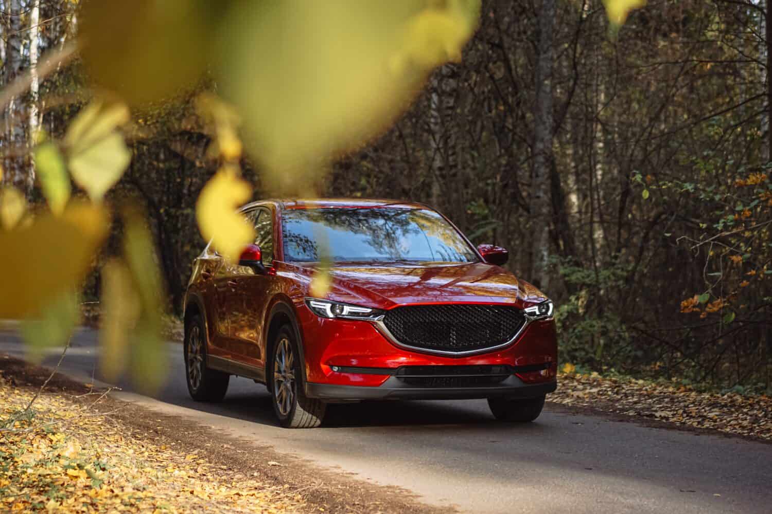 Red car. Detailed photo. Headlights, wheels, parts. Family car. City car. New car. In forest.