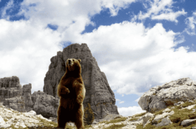 Why MercadoLibre (MELI), Atlassian (TEAM) and MicroStrategy (MSTR) Are Down Big Today