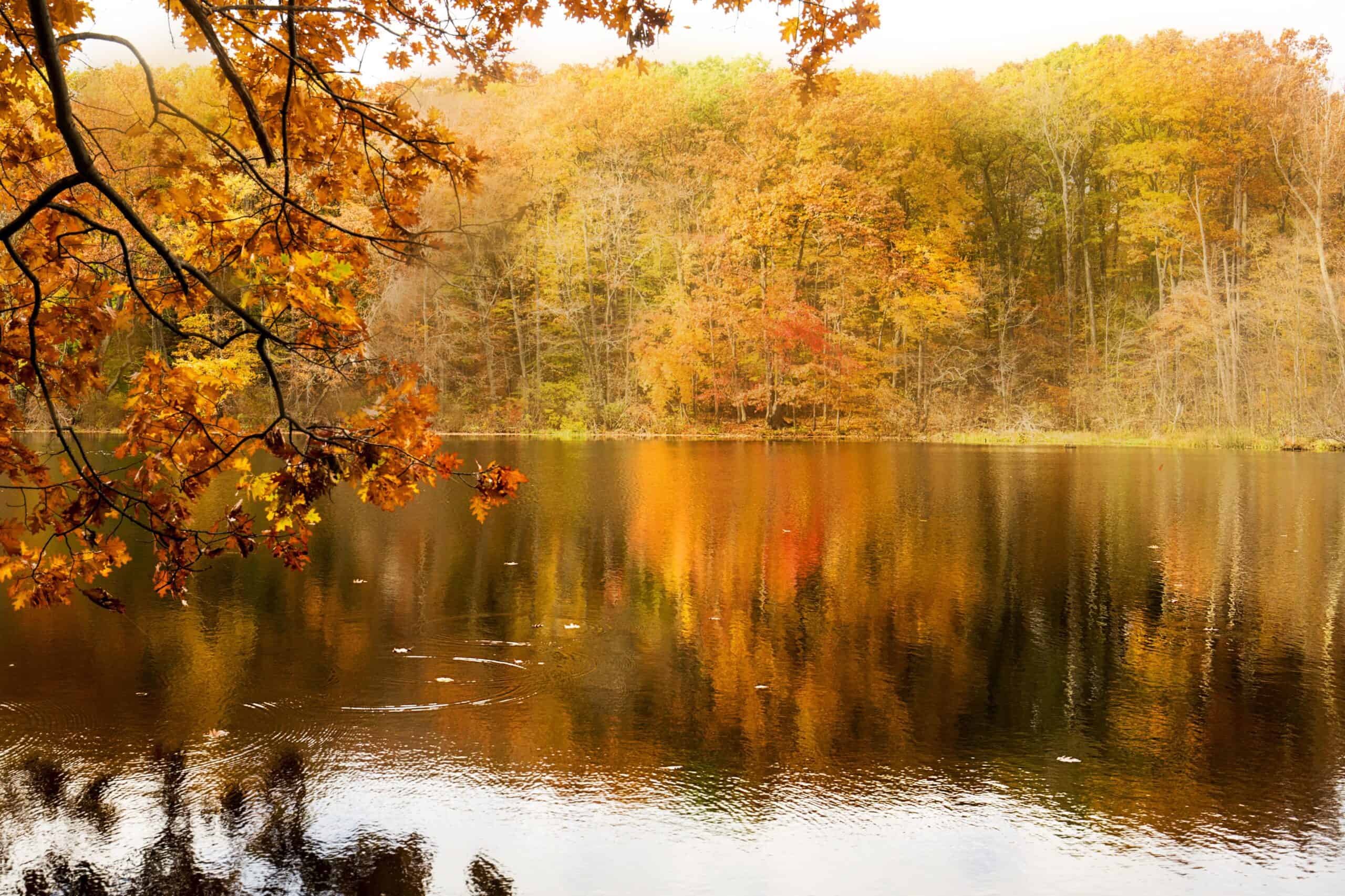 Bristol, Connecticut | Fall colors and reflections in Birge Pond in Bristol, Connecticut.