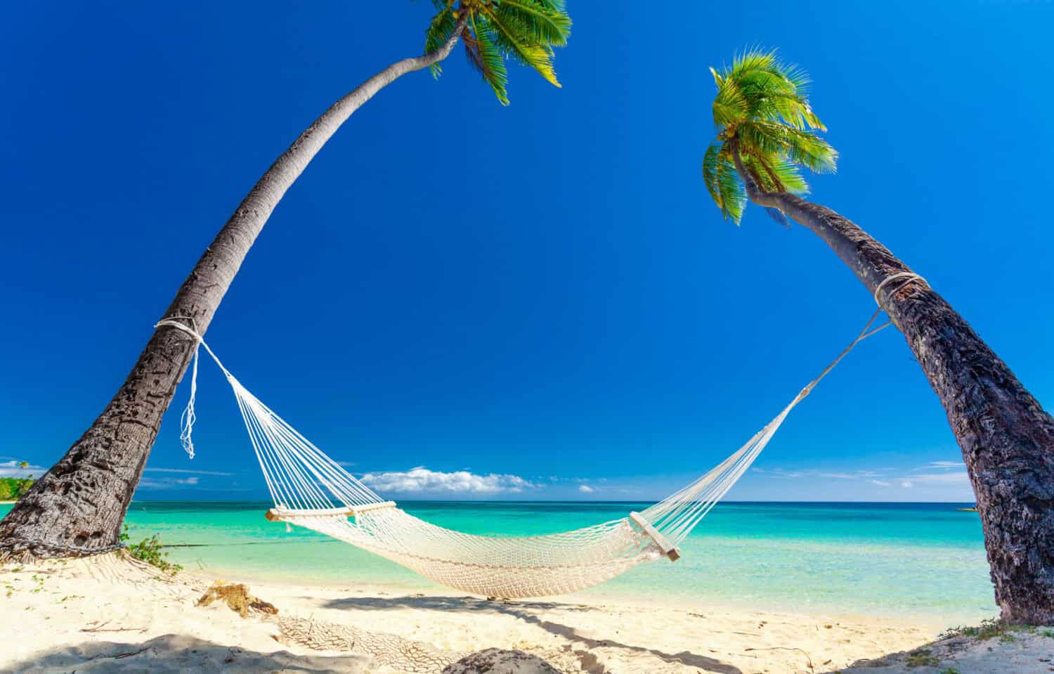 Empty hammock in the shade of palm trees on tropical Fiji Islands