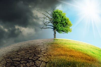 11 American Companies On the Cutting Edge of Renewable Tech