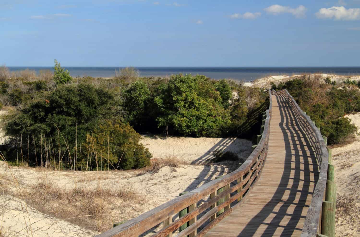 Cumberland Island National Seashore, located in the state of Georgia, is known for its vast beaches, its extensive trail network, and also for its resident population of wild horses and other wildlife